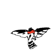 48 minutes, 7 seconds