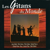 Gipsy World Vol. 3 : The Best Of South (Les Gitans Du Monde)