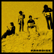 Foxtide: Paradise
