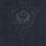 Animals In Exile: Through a Glass Darkly