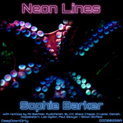 Neon Lines