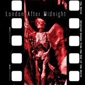 Selected Scenes from the End of the World