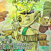 O Flow do Gurizinho