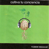 Cultiva tu conciencia