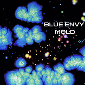 Mold
