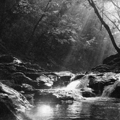 Dawn on a Brazilian stream