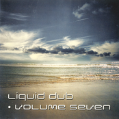 Blue Lotus: Liquid Dub Volume Seven