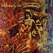 Beauty in Darkness vol.2