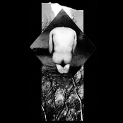 Where The Lost Boys Go