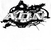 ADN