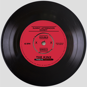 Sunny Afternoon / Dandy