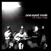 Sad Little Lovesong by One-eyed Mule