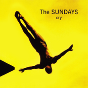 Cry
