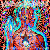 Las Palabras no son Suficientes