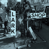 Little Shop by Lark