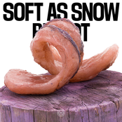 Soft as Snow: Bit Rot