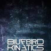 bluebird kinetics