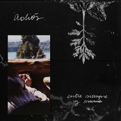 Entre Siempre y Nunca.