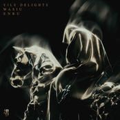 Vile Delights