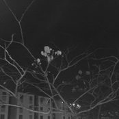 Days Not Lived in a Letter