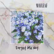 Forget Me Not