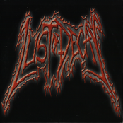 Despise / Lust Of Decay