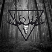 Leshy