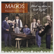 Ahol az ökör is bort iszik! (Magyarpéterlaki népzene)