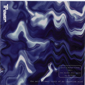 The Self Evident Truth of an Intuitive Mind