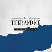 Looking Around by The Tiger & Me