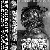 Sonic-Ripping Flesh Torment