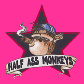 Half Ass Monkeys