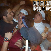 Dominio Propio