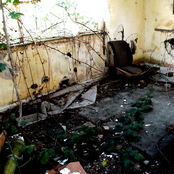 ______________________