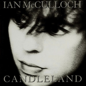 Proud To Fall by Ian Mcculloch