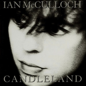 In Bloom by Ian Mcculloch