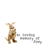 In Loving Memory Of... Joey
