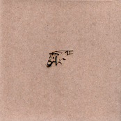 horses fucked over the head with bricks