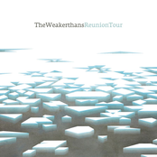 Night Windows by The Weakerthans