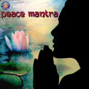 Peace Mantra (Swastina Indro Vriddhashravah)