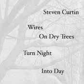 Wires On Dry Trees Turn Night Into Day [CYC-018]