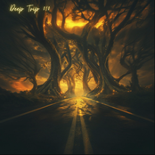 DeepTrip010 (DJ Mix)