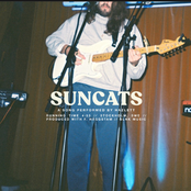 Suncats