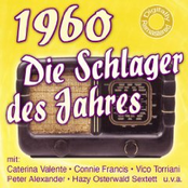 Die Schlager des Jahres 1960