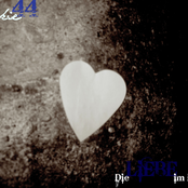 Die Liebe im Leben
