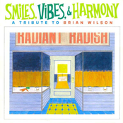 Smiles, Vibes & Harmony: A Tribute To Brian Wilson