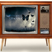 Welcome To The My Room