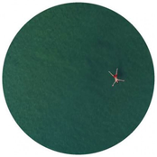 Cola Beach / Dolphin Splash Keyboards