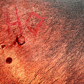 Fucked To Death By A Horse