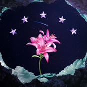 Du borde stannat kvar